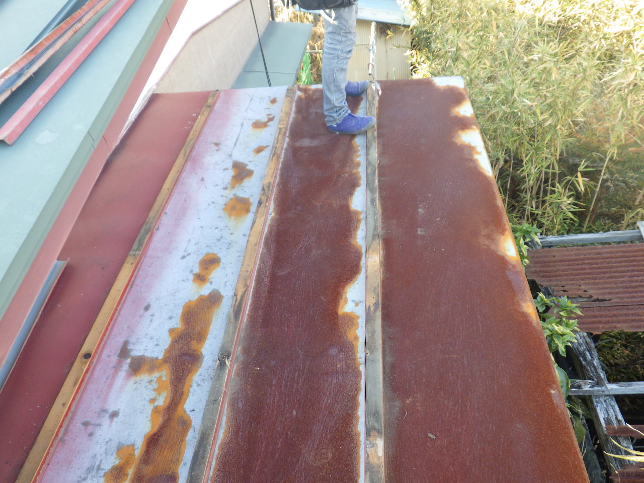 カッパを撤去しました