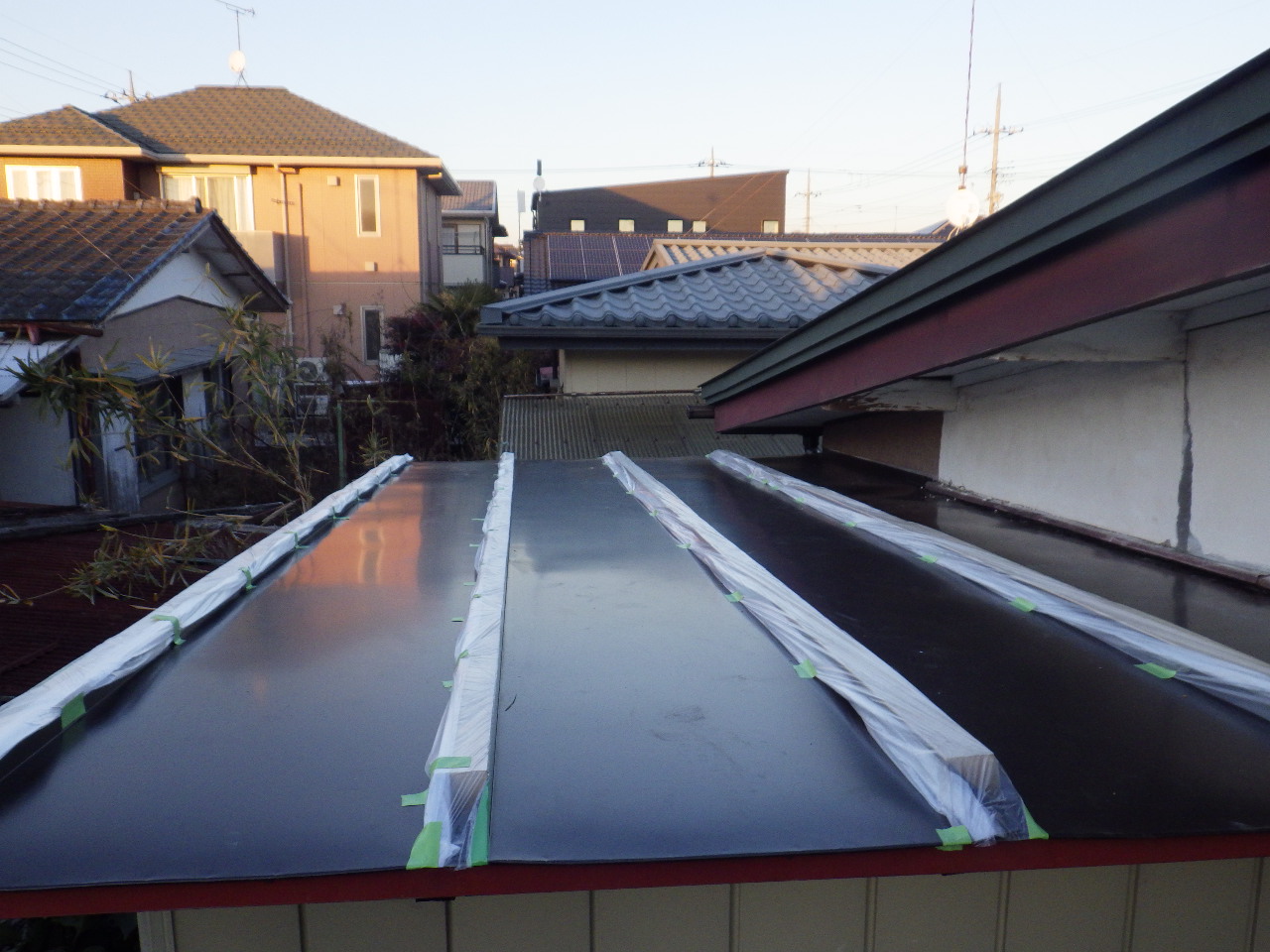 雨養生をしました