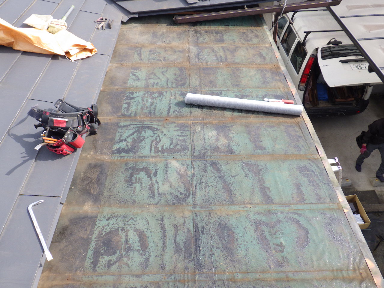 心木を撤去しました