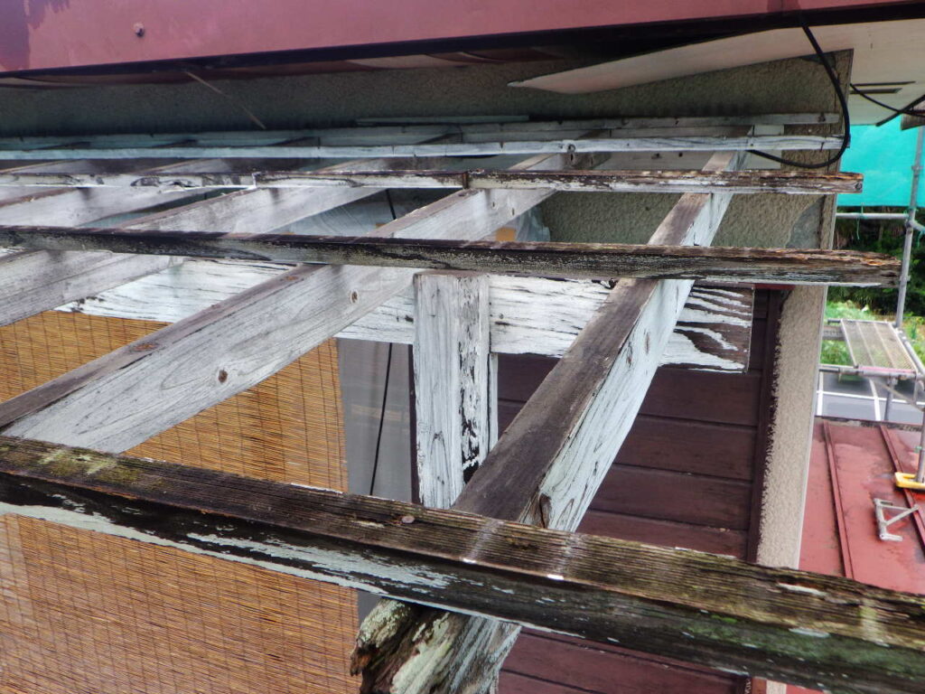 テラス屋根垂木の状態です