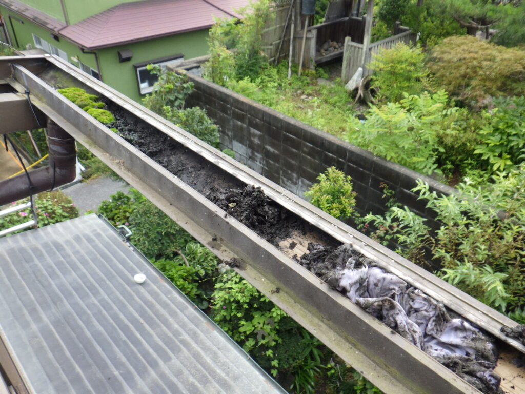 雨樋清掃中