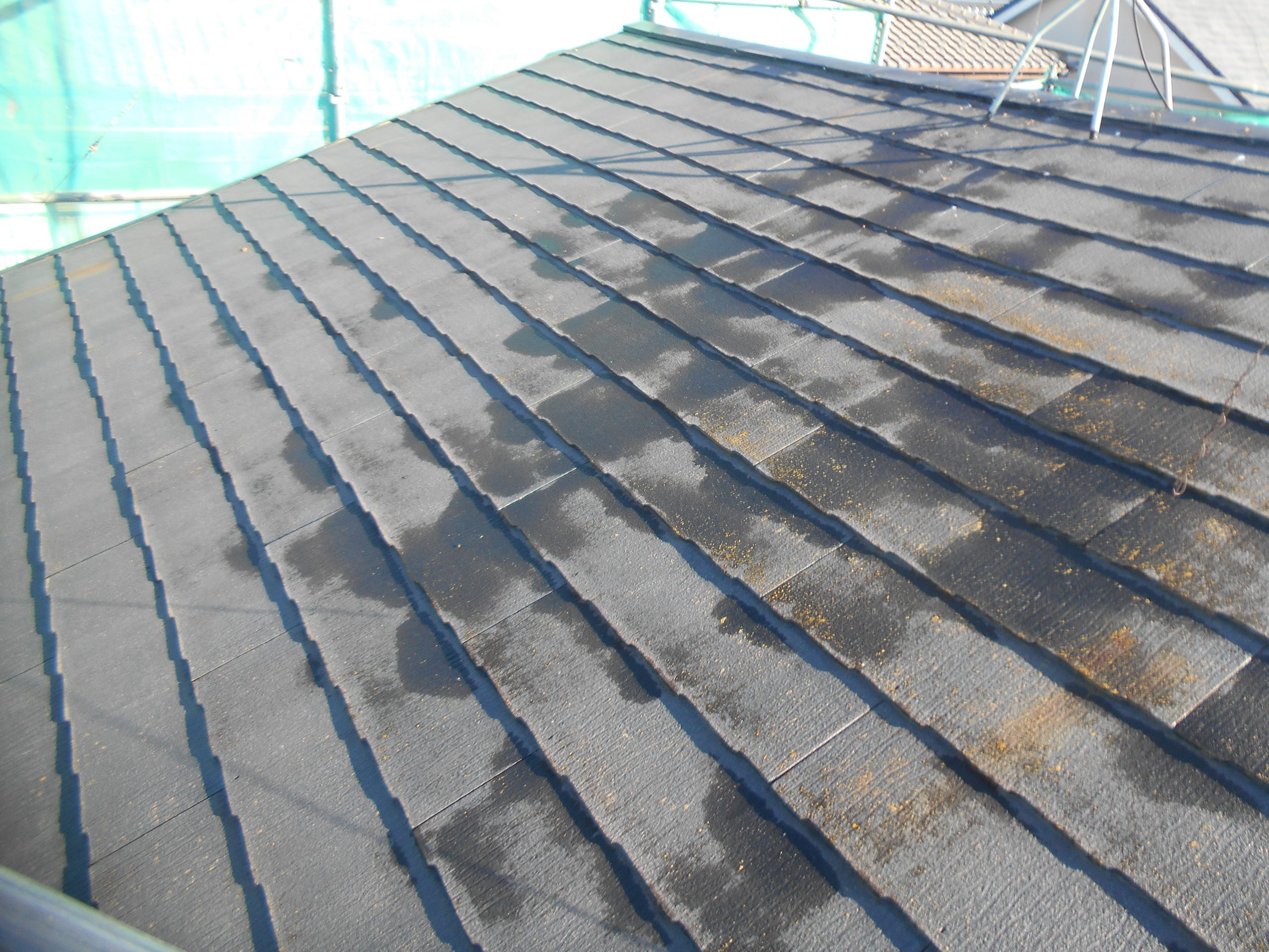 スレート屋根の退色と汚れ